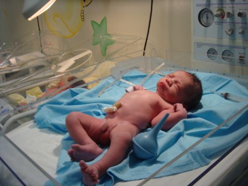 Presione para ver Grande