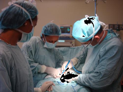 Presione para ver Grande