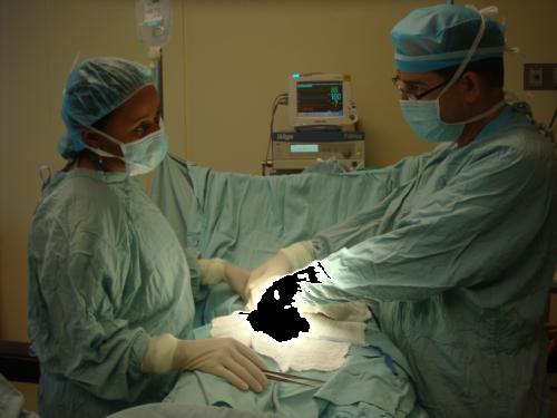 Presione para ver Grande