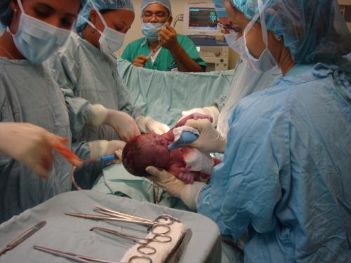 Presione para ver Grande