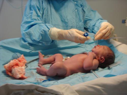 Presione para ver Grande