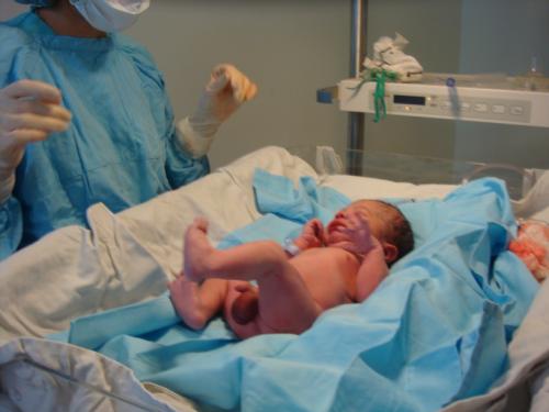 Presione para ver Grande